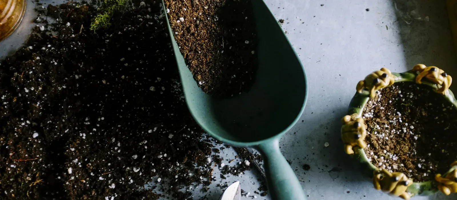 Wortelverbranding: een onverwacht gevolg van overmatig mest en compost gebruik