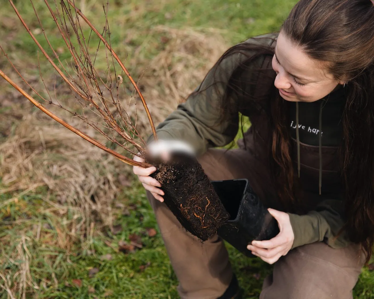 Merel haalt een jonge bessenstruik uit de pot om hem te planten