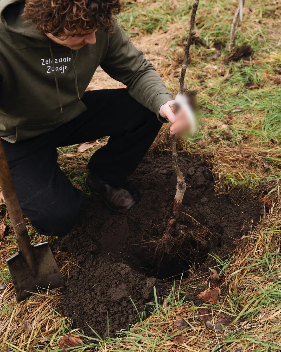 Ruud zet een jonge fruitboom met blote wortels in het plantgat